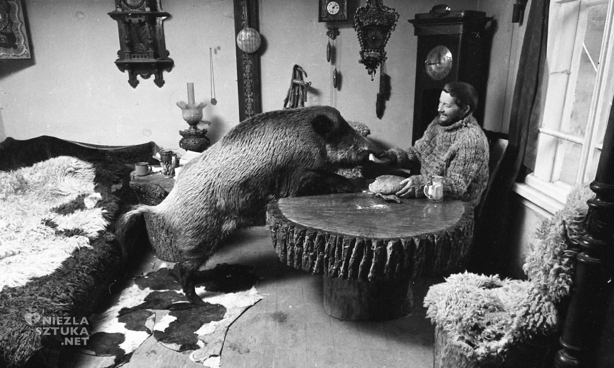 Simona Kossak, Lech Wilczek, zwierzęta, dzik, nauka polska, Niezła Sztuka