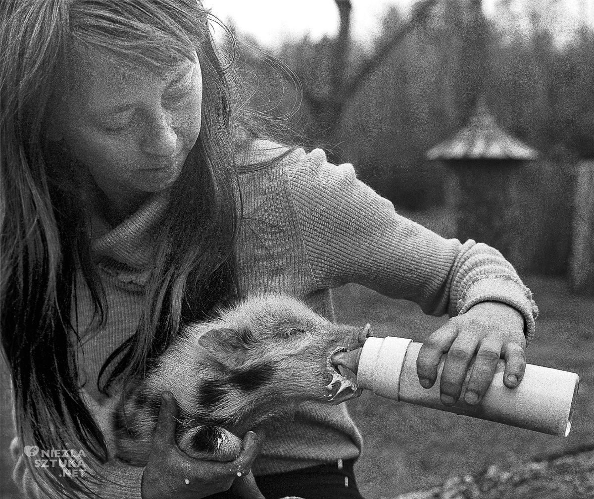 Simona Kossak, Lech Wilczek, fotografia, Niezła Sztuka
