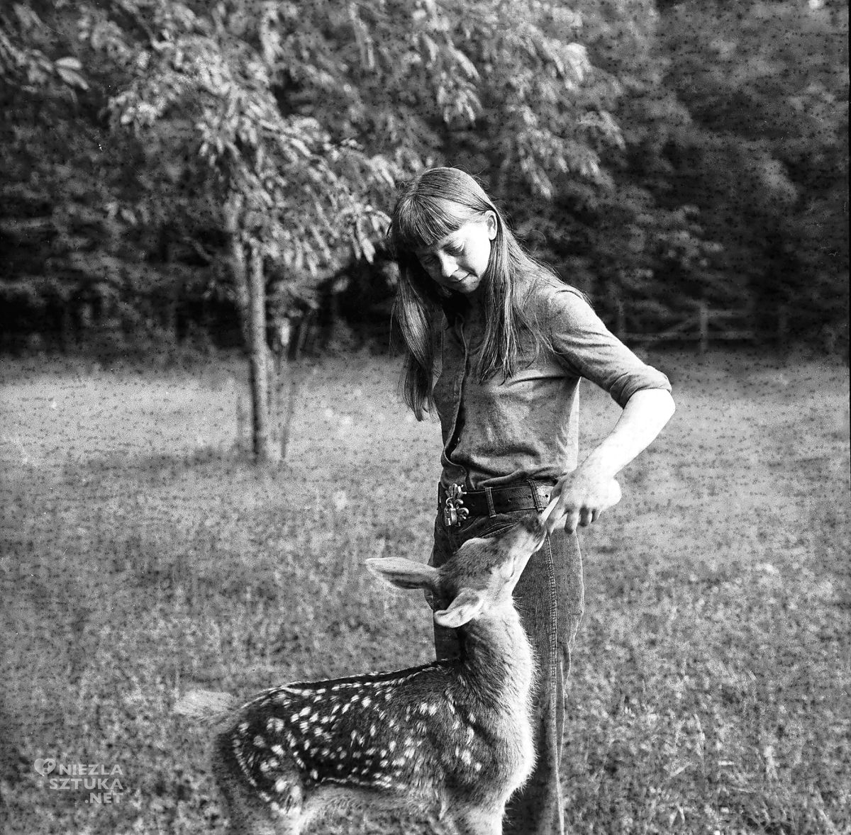 Simona Kossak, Lech Wilczek, fotografia, Niezła Sztuka