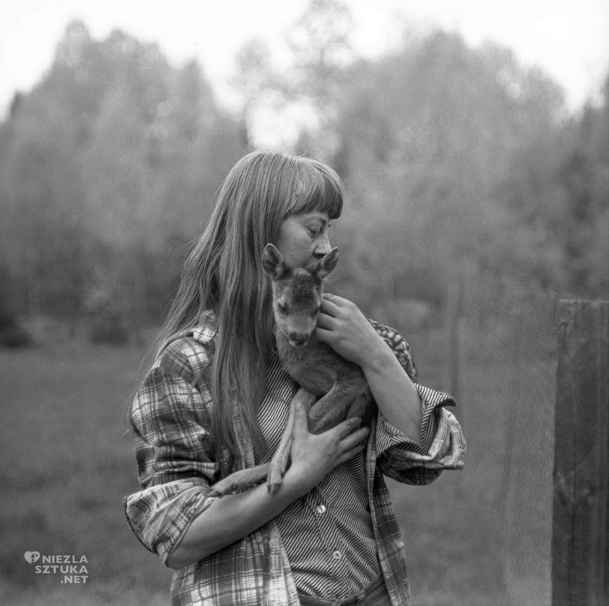 Simona Kossak, Lech Wilczek, fotografia, Niezła Sztuka