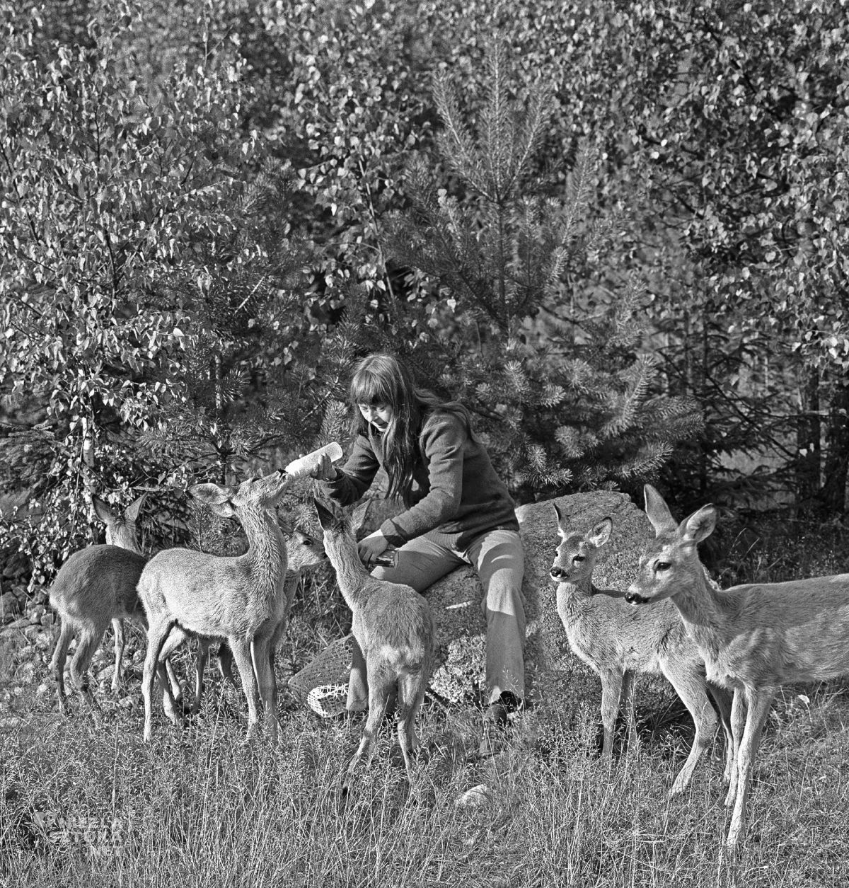 Simona Kossak, Lech Wilczek, fotografia, Niezła Sztuka