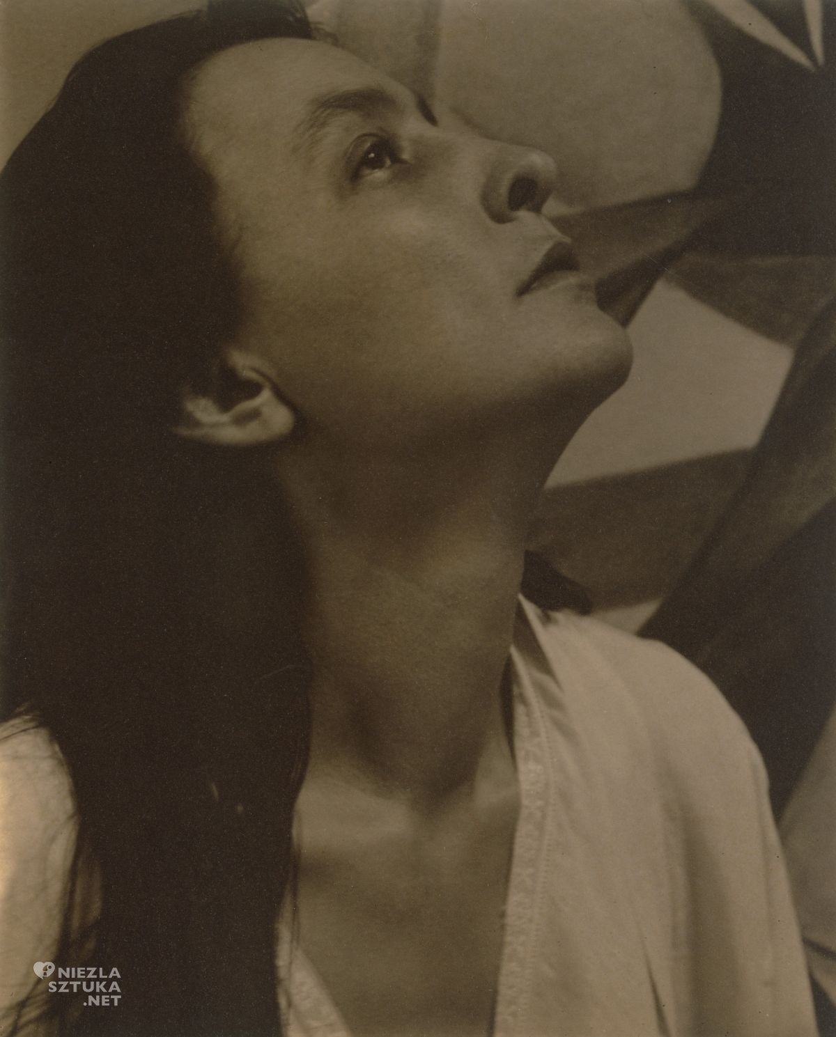 Alfred Stieglitz, Georgia O'Keeffe, odbitka platynowa, niezła sztuka
