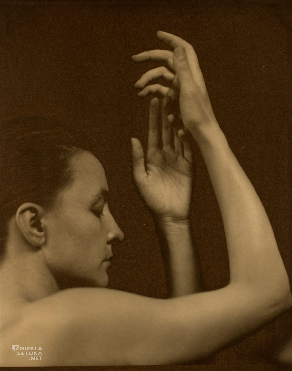 Alfred Stieglitz, Georgia O'Keeffe, fotografia, niezła sztuka