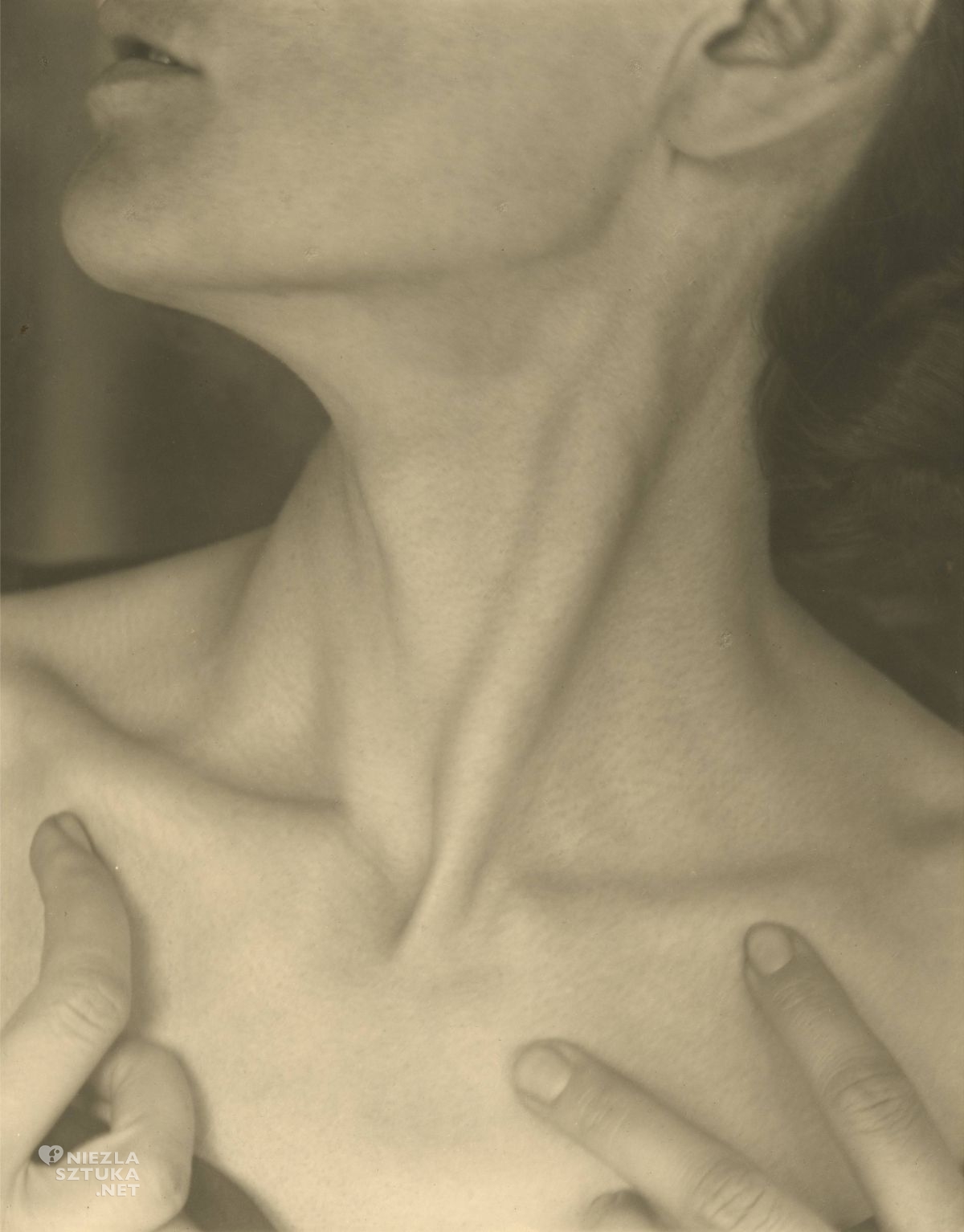 Alfred Stieglitz, Georgia O'Keeffe, fotografia, niezła sztuka