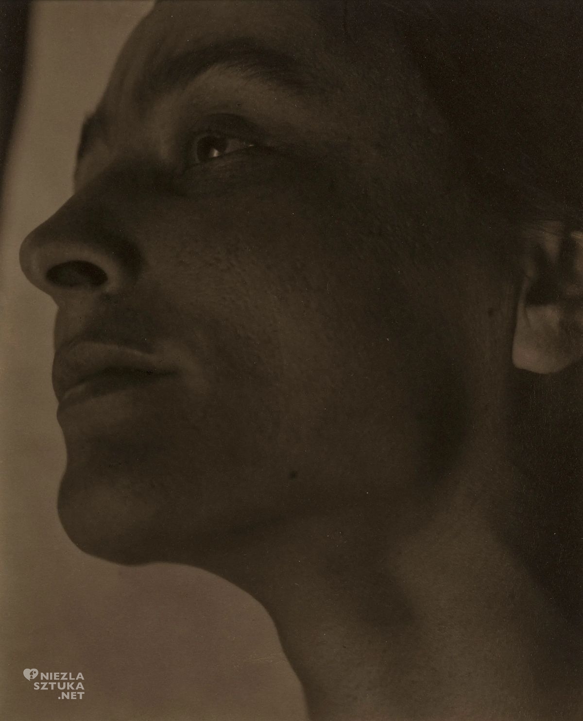 Alfred Stieglitz, Georgia O'Keeffe, portret, fotografia, niezła sztuka