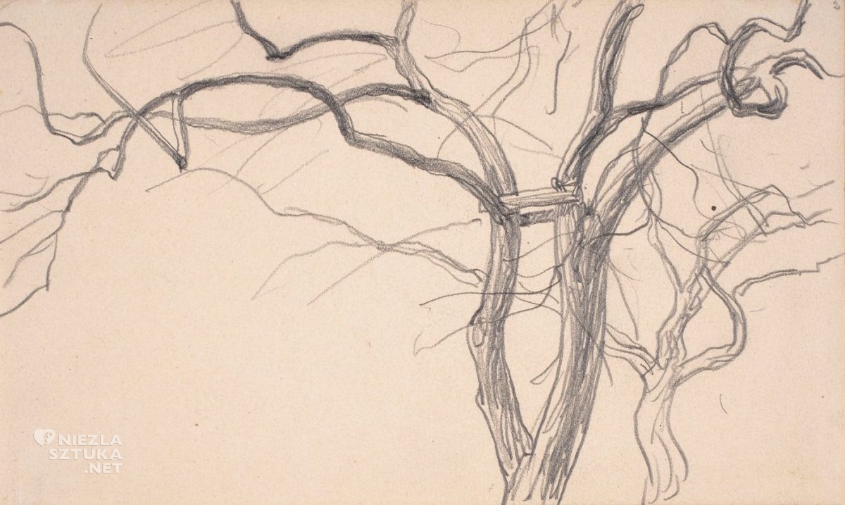 Ferdynand Ruszczyc, Dwa stare drzewa, szkic do obrazu Stare jabłonie, rysunek, szkice, warszawa, niezła sztuka