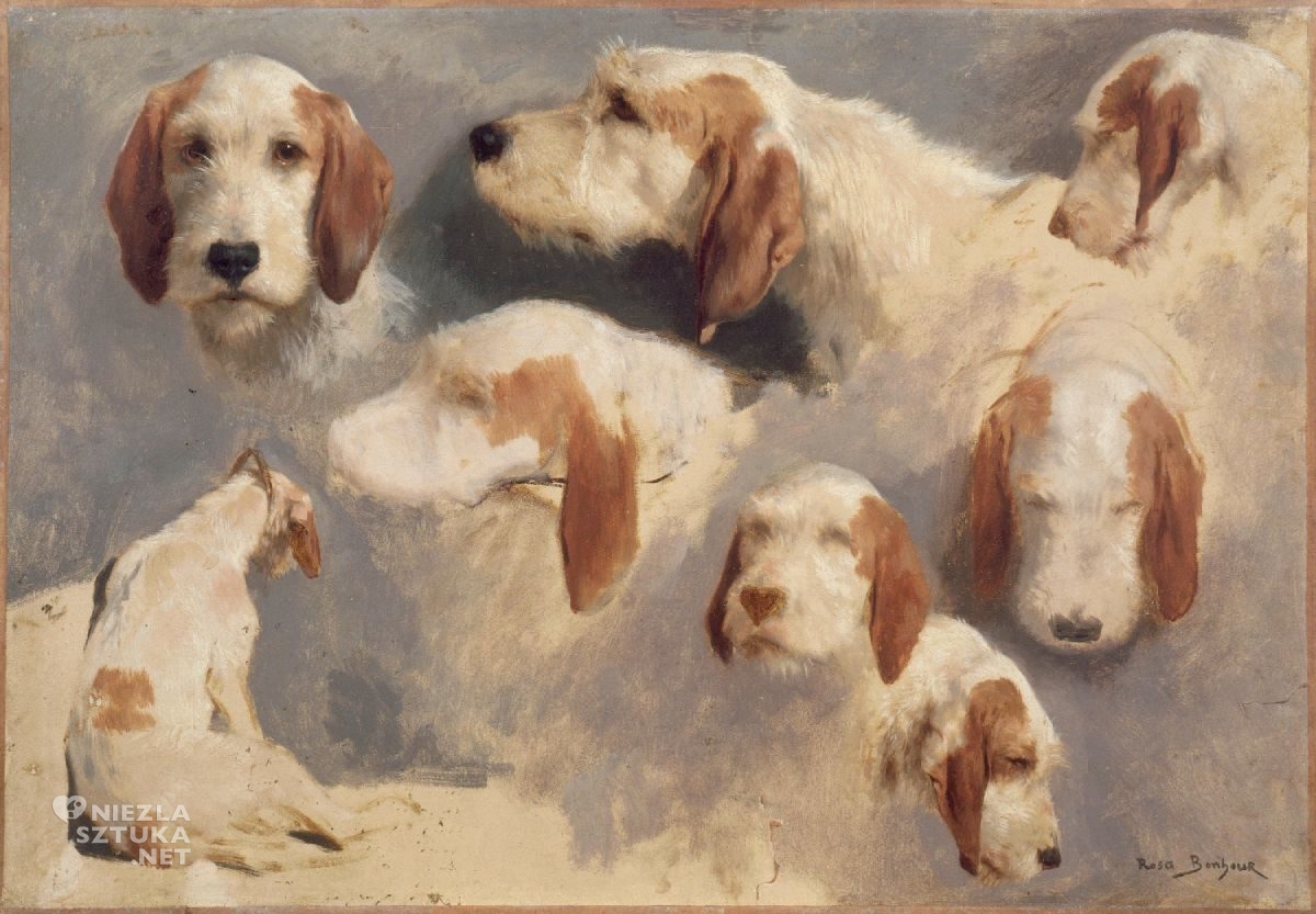 Rosa Bonheur, pies, niezła sztuka