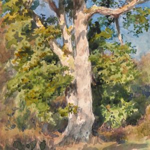 Rosa Bonheur, studium drzewa, niezła sztuka