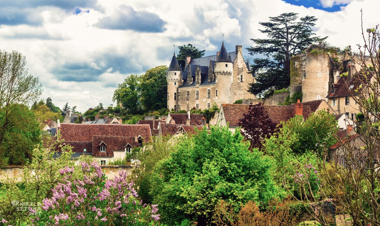 Montresor, Braniccy, zamek, niezła sztuka