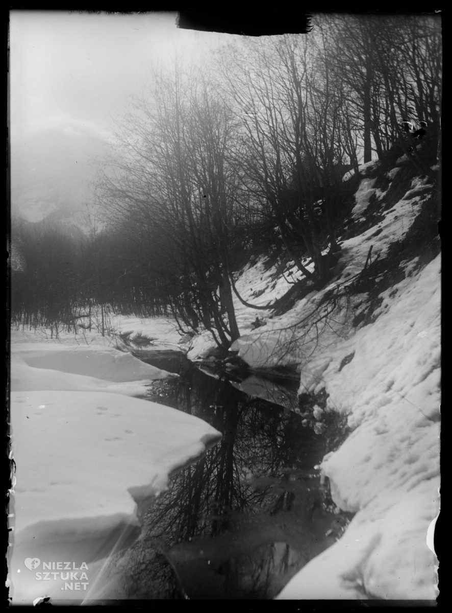 Witkacy, Witkiewicz, Olchy nad wodą, forografia, Niezła sztuka