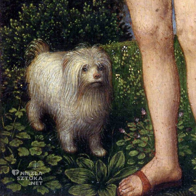 Hans Memling, Alegoria próżności, pies w sztuce, malarstwo, niezła sztuka