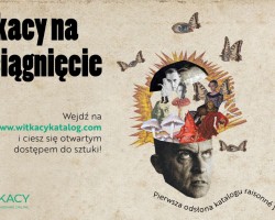 Weronika Ziarek, Witkacy na wyciagnięcie ręki, katalog dzieł Zebranych Witkacego, Witkacy, dzieła zebrane, niezła sztuka