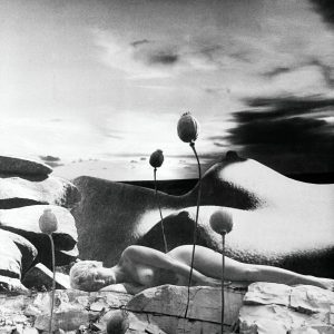 Zofia Rydet, z cykZofia Rydet, Świat uczuć i wyobraźni, Pejzaże, cykl fotografii, fotografia, archiwum, kobiety w sztuce, fotografia polska, niezła sztuka