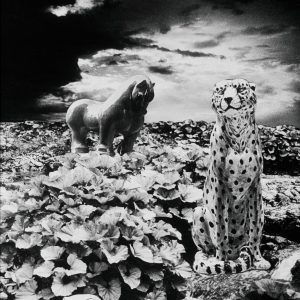 Zofia Rydet, Świat uczuć i wyobraźni, Narodziny, cykl fotografii, fotografia, archiwum, kobiety w sztuce, fotografia polska, niezła sztuka