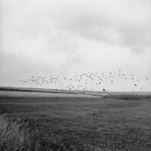 Zofia Rydet, Dokumentacje 1950-1978, cykl fotografii, fotografia, archiwum, niezła sztuka