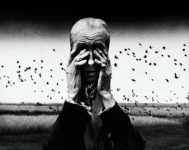 Zofia Rydet, Świat uczuć i wyobraźni, Zagłada, cykl fotografii, fotografia polska, kobiety w sztuce, zdjęcie, archiwum, niezła sztuka