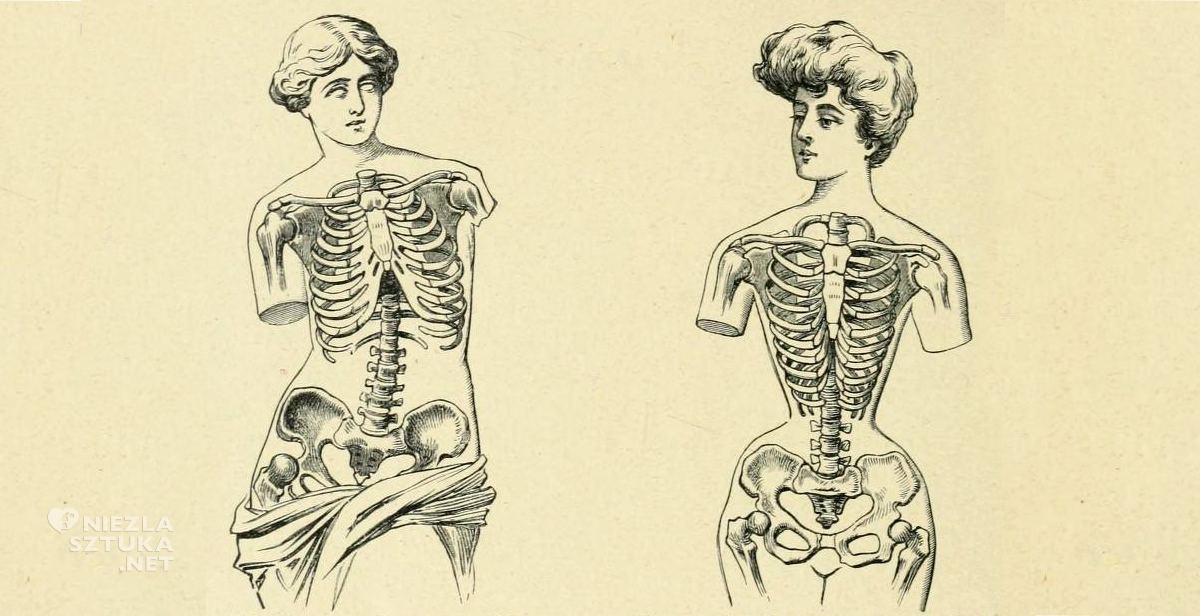 Wenus z Milo i „Gibson Girl ”, karykatura, anatomia, gorset, moda, niezła sztuka