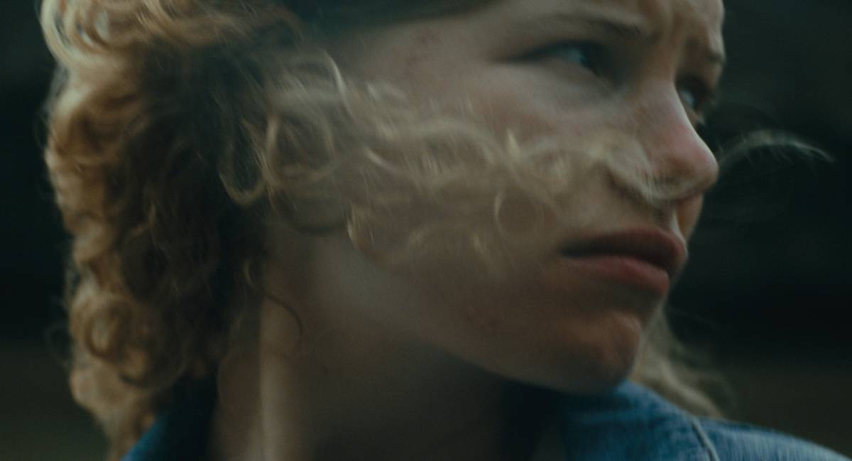 festiwal filmowy nowe horyzonty, niezła sztuka