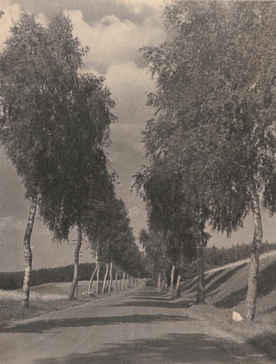 Jan Bułhak, Osowo Lęborskie, fotografia, zdjęcie, krajobraz polski, sztuka polska, niezła sztuka