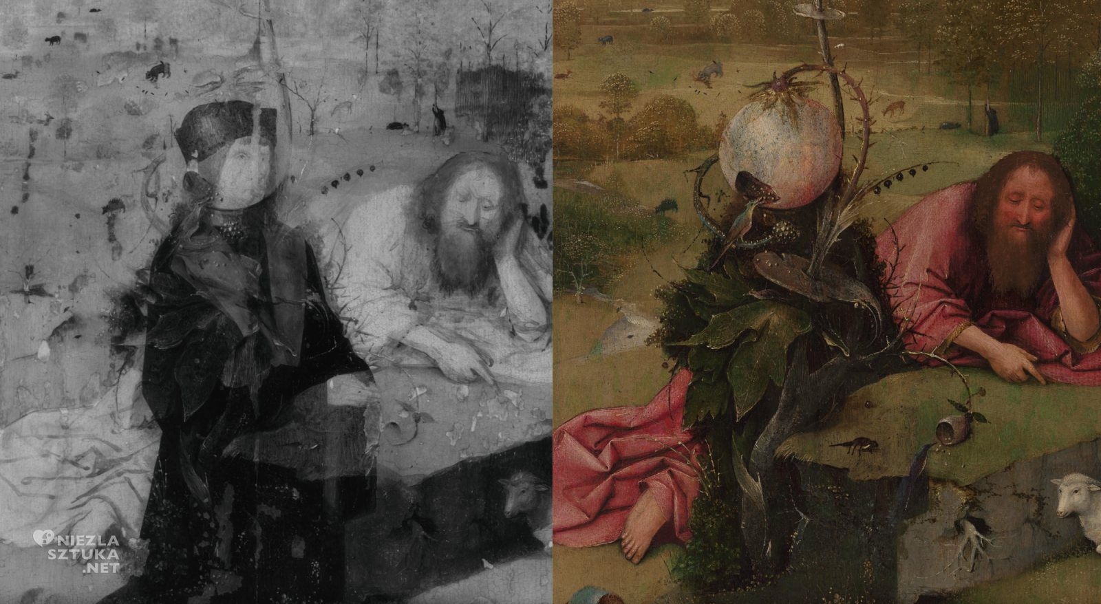 Hieronim Bosch, Św. Jan Chrzciciel, Reflektografia w podczerwieni, nowe badania, sztuka niderlandzka, motyw biblijny, sztuka religijna, Niezła Sztuka
