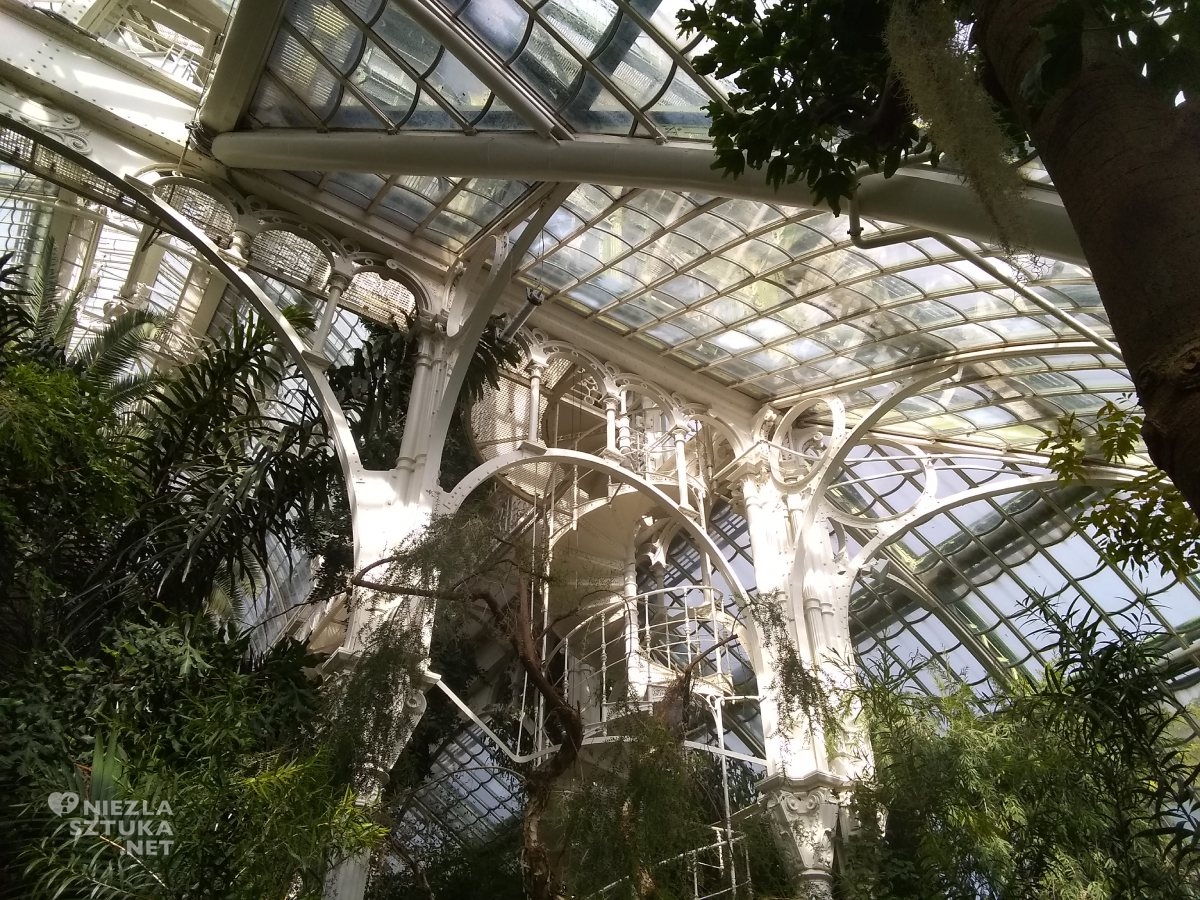 Palmenhaus, Schonbrunn Palace Park, Wiedeń – miejsca nieoczywiste, Palmiarnia, Ogród Botaniczny, Wiedeń, Austria, Niezla Sztuka