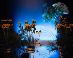 ikebana, wystawa, muzeum manggha, japonia, niezła sztuka