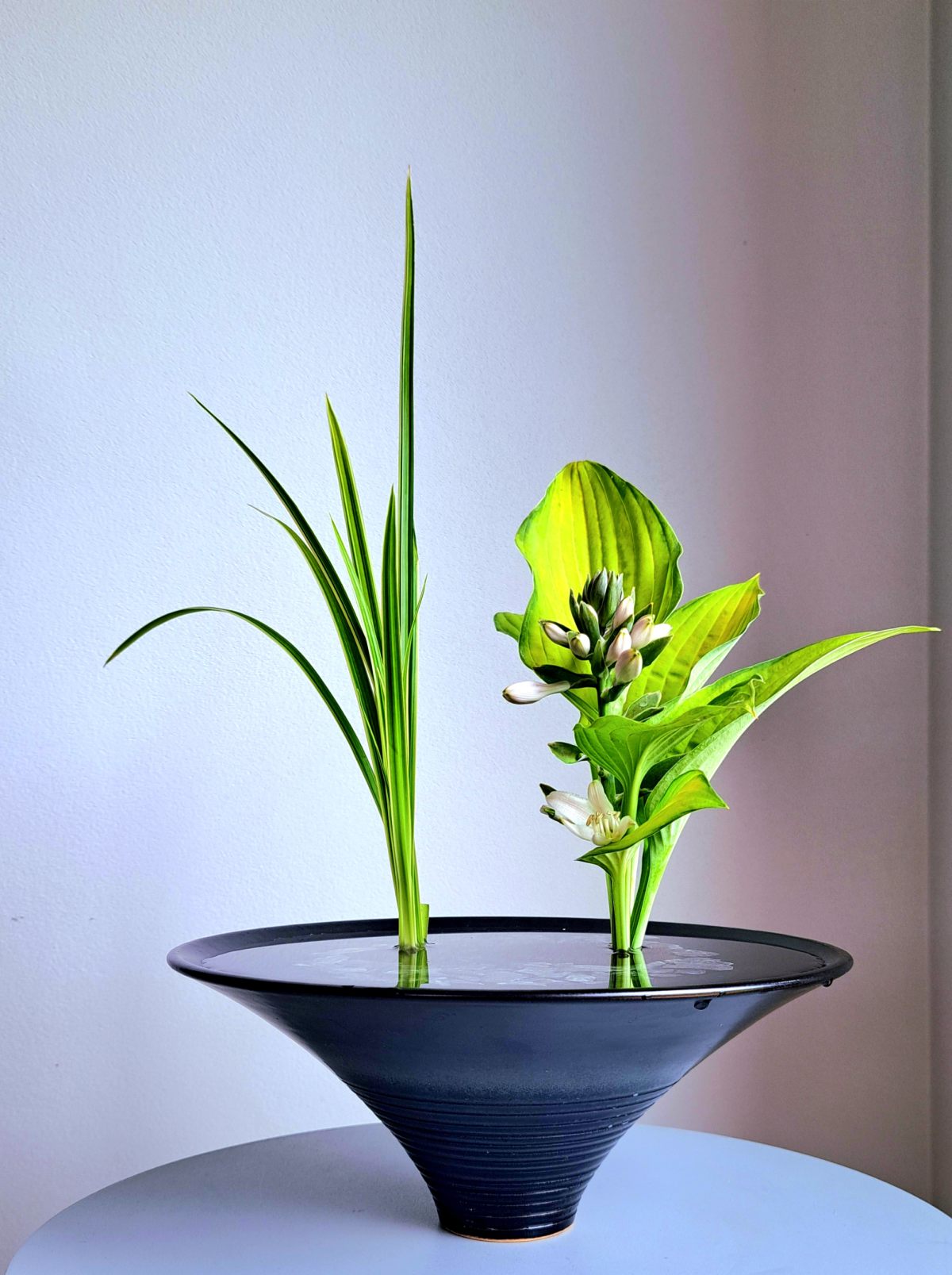 ikebana, wystawa, muzeum manggha, japonia, niezła sztuka