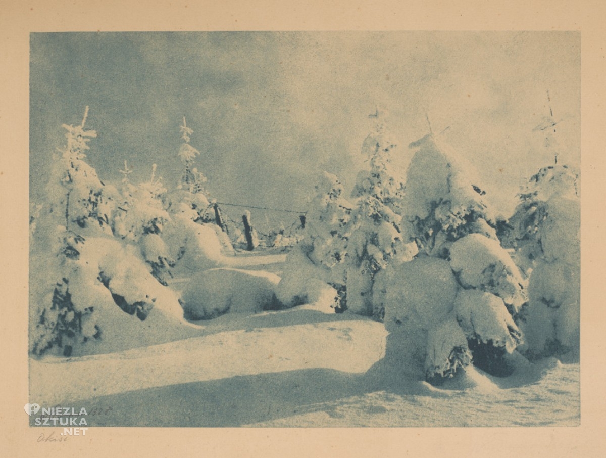 Witold Romer, Okiść, bromolej, fotografia-pozytyw, fotografia, historia fotografii, niezła sztuka