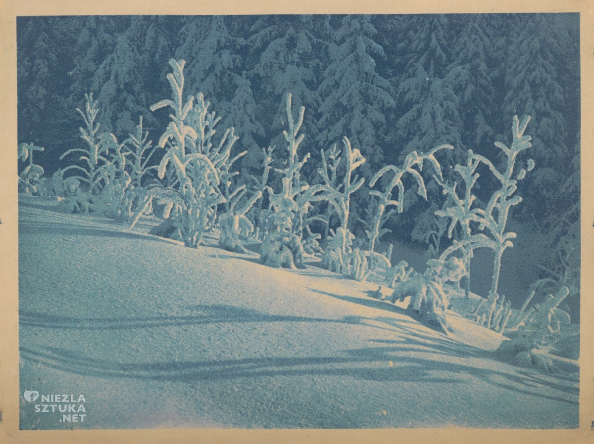 Witold Romer, Cienie na śniegu, przetłok bromolejowy, bromolej, fotografia-pozytyw, fotografia, historia fotografii, niezła sztuka