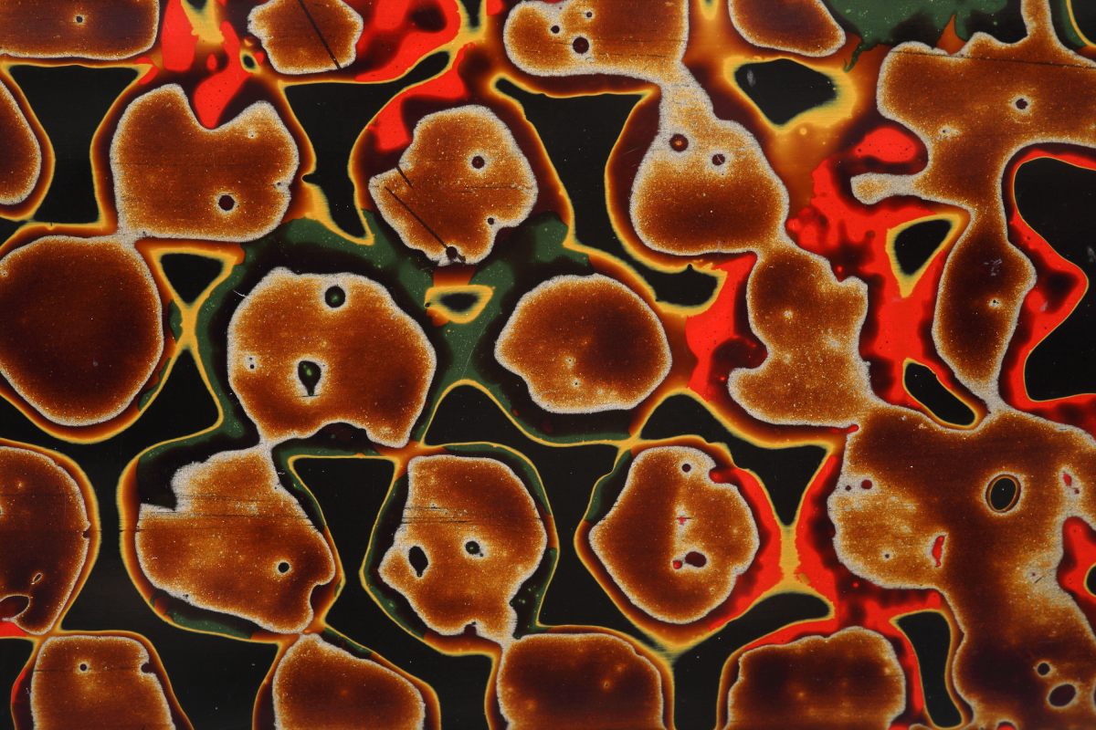 Lśnienie czasu. Japońska laka w sztuce użytkowej, Muzeum Sztuki i Techniki Japońskiej Manggha, sztuka japońska, laka, naczynia z laki, laka japońska, niezła sztuka