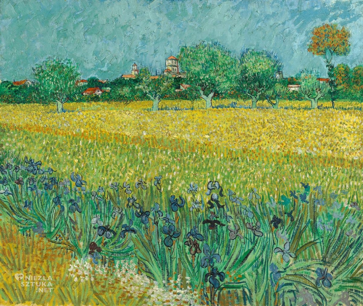 Vincent van Gogh, Pole z irysami niedaleko Arles, wiosna, Niezła Sztuka