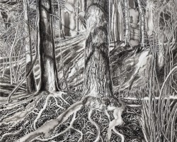 Anna Poduszyńska artystka, niezła sztuka