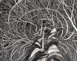 Anna Poduszyńska artystka, niezła sztuka