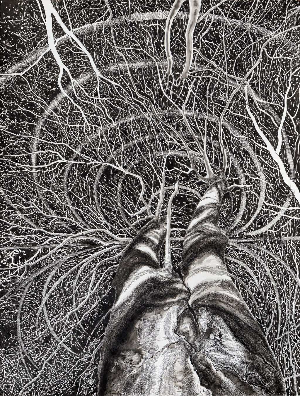 Opowieść o lesie w twórczości Anny Poduszyńskiej, czyli „Dendrozofia. Las w sieci/sieć w lesie”