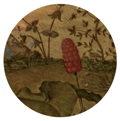 Vittore Carpaccio, Młody rycerz w pejzażu, sztuka włoska, niezła sztuka