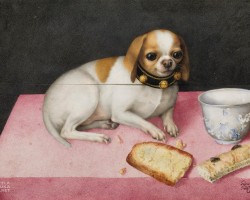 Giovanna Garzoni, Piesek z biszkoptami i chińską filiżanką, malarstwo włoskie, kobiety w sztuce, niezła sztuka