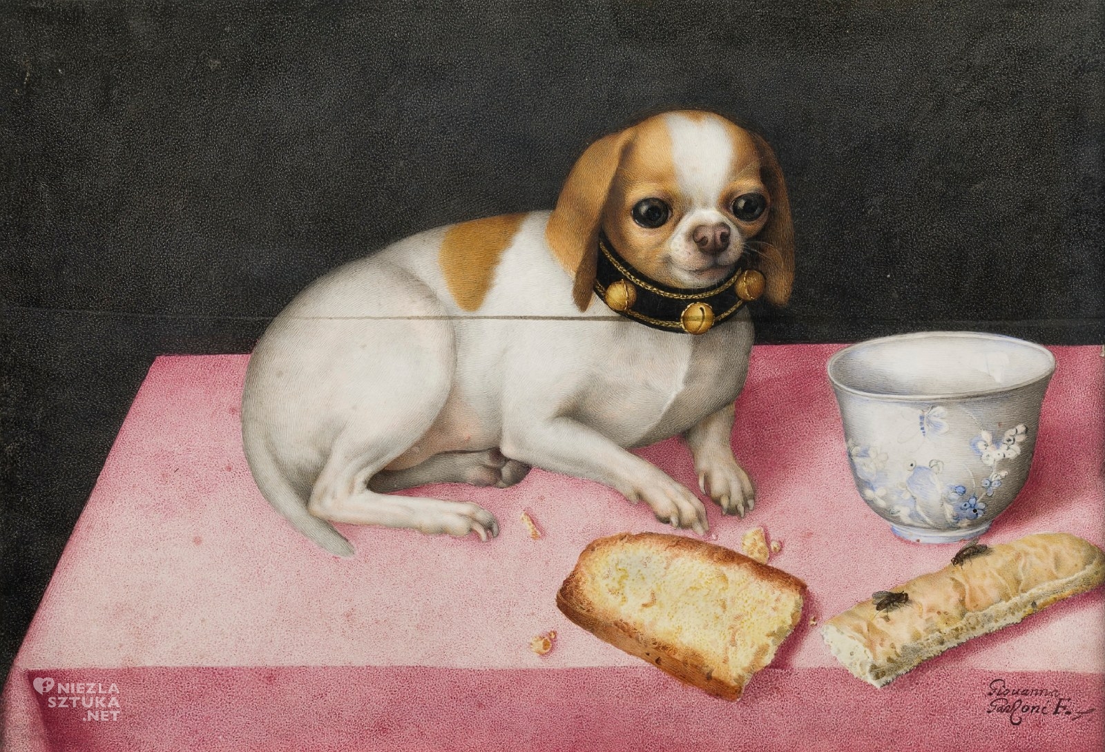 Giovanna Garzoni, Piesek z biszkoptami i chińską filiżanką, malarstwo włoskie, kobiety w sztuce, niezła sztuka