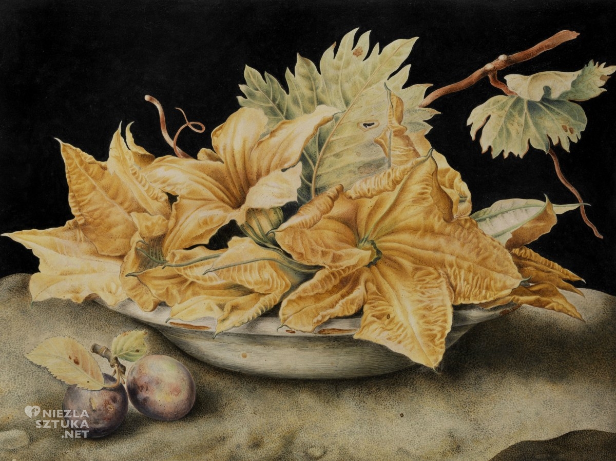 Giovanna Garzoni, Martwa natura z kwiatami dyni i liśćmi winorośli, malarstwo włoskie, kobiety w sztuce, malarstwo barokowe, niezła sztuka