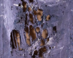 Jacek Sempoliński, Czaszka, sztuka polska, sztuka współczesna, niezła sztuka