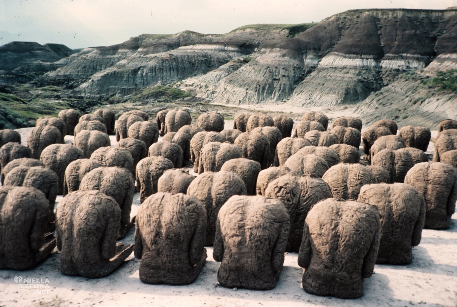 Magdalena Abakanowicz, Plecy, Backs, zdjęcie, fotografia, archiwum, sztuka polska, kobiety w sztuce, sztuka współczesna, niezła sztuka