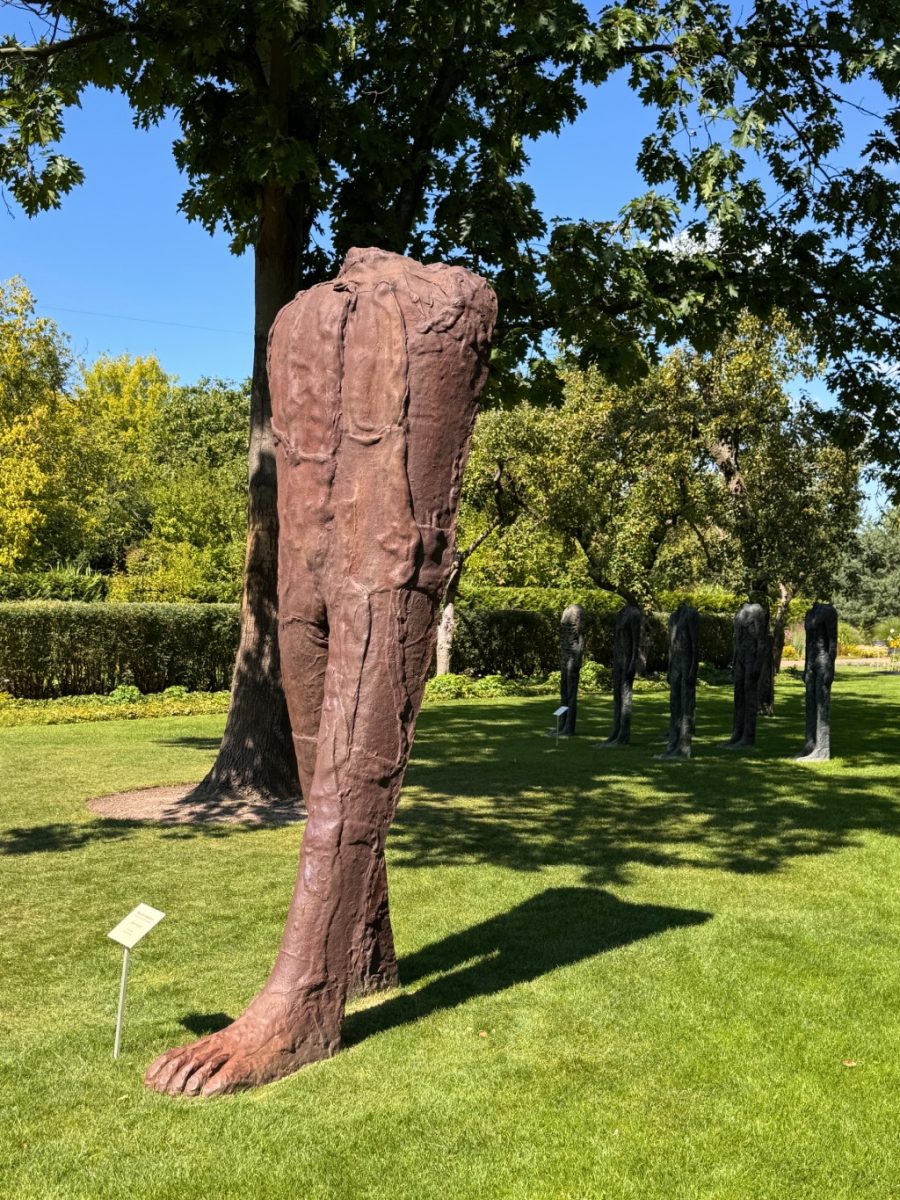 Mistrzowie rzeźby w Pabianicach, Aflopark, Magdalena Abakanowicz, niezła sztuka
