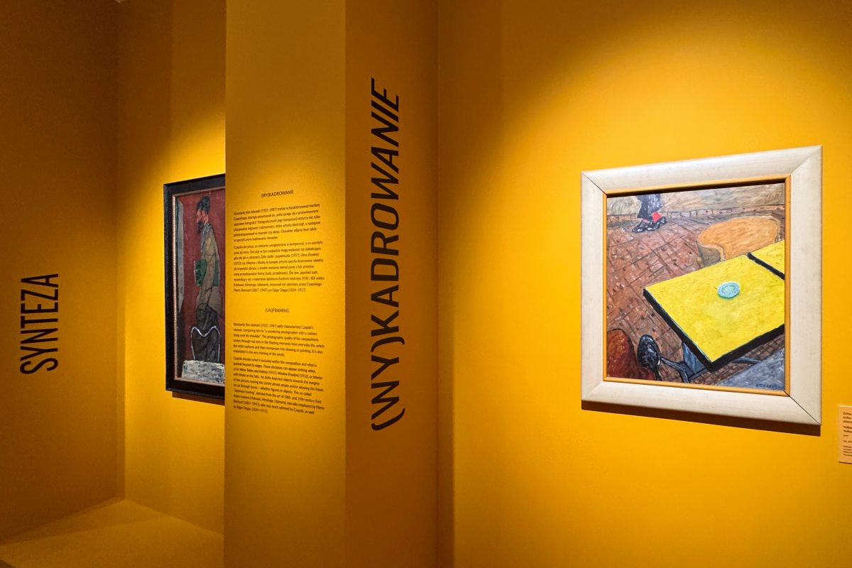 józef czapski, muzeum narodowe w krakowie, niezła sztuka