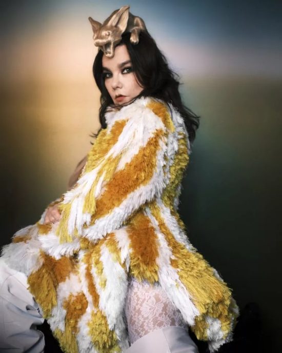 Bjork w Bielsku Białej, wystawa, performance, sztuka, niezła sztuka