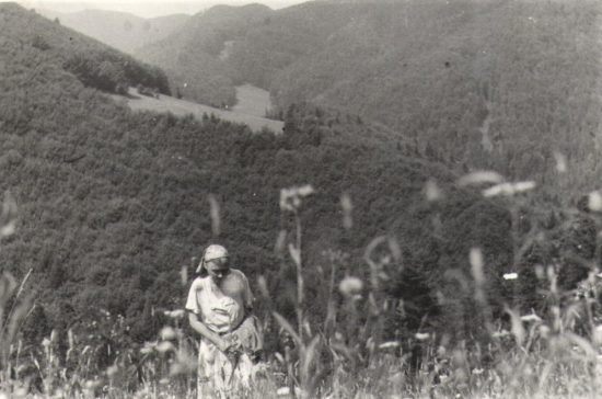 Witold Chomicz, Maria Kownacka, książka, ilustracja książkowa, sztuka polska, niezła sztuka