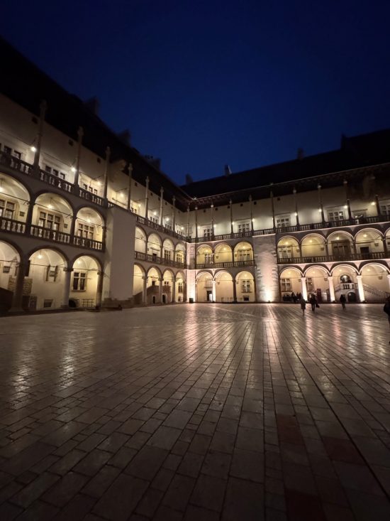 Anna Jagiellonka, królowa, wszystkie twarze królowej, wystawa, Zamek Królewski na Wawelu, Wawel, Kraków, niezła sztuka